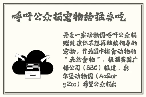 色01网国产高清午夜视频